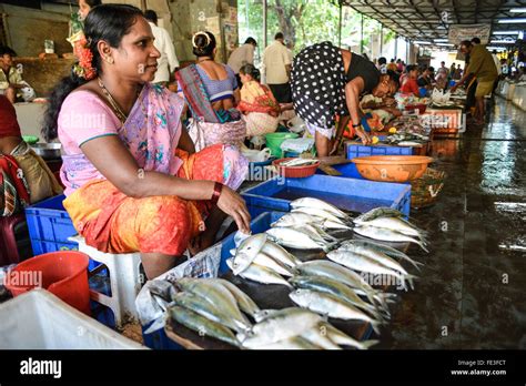 India Goa Fish Market At Panaji Stock Photo Alamy