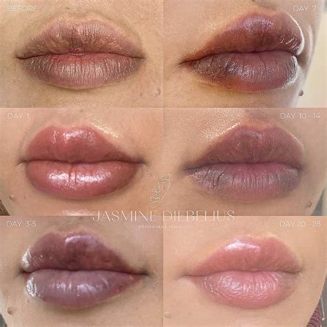 Lip Blushing On Dark Lips Can Lip Blush Neutralize Dark Lips