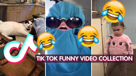 Tik Toks Best Funny Videos Collection ️😂 Youtube