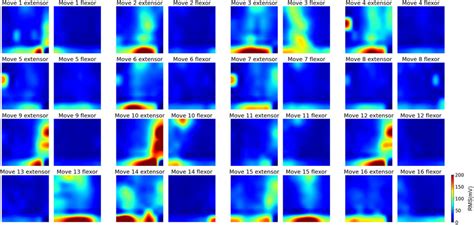 Muscle Activity Heatmaps Associated With Dof Movements From The