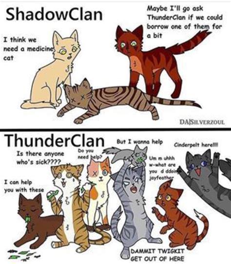 Diseases And Conditions Wiki Warrior Cats After The Storm Amino