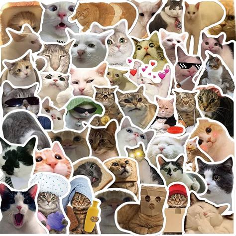 Top More Than 122 Cat Meme Wallpaper Latest Vn