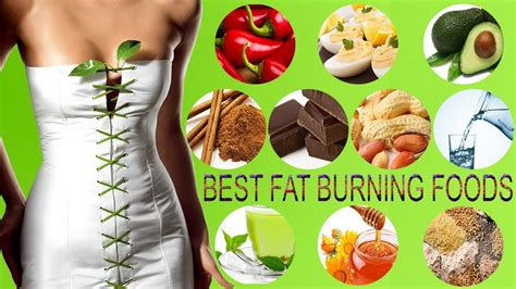 Top 10 Best Facts Of Effective Fat Burning Foods Best