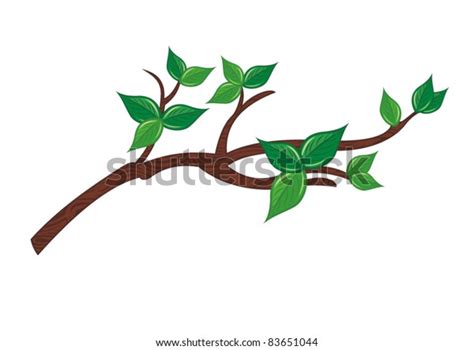 Tree Branch Green Leaves Stock Vector Royalty Free 83651044