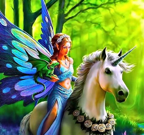 Fairy And Unicorn Fairy Dragon Unicorn Fantasy Hd Wallpaper Peakpx