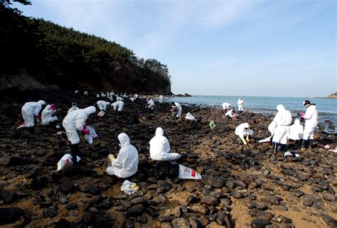 The Easy Way To Clean Up Oil Spills Volunteers It News Today