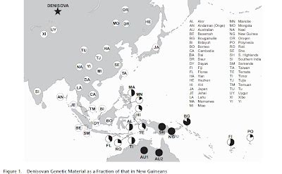 The link between the denisovans and modern melanesians was completely unexpected and shows the denisovans must have lived far outside siberia, pääbo added. For what they were... we are: 'Denisovan' admixture ...