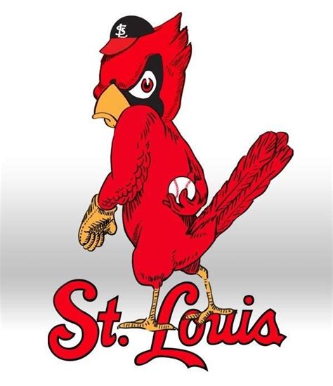 St Louis Logo Cardinals Macie Raines