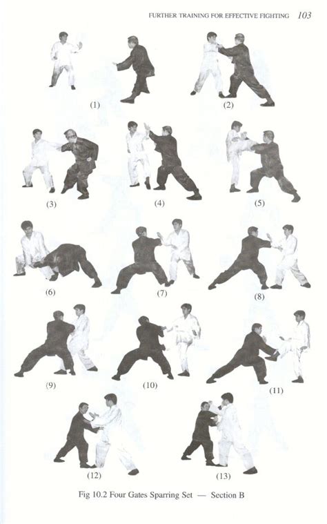 Kung Fu Kung Fu Stances