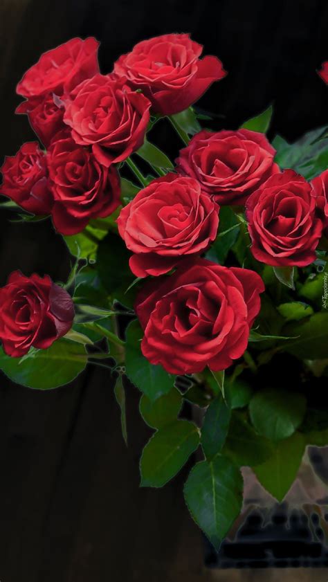 Czerwone Róże W Wazonie Tapeta Na Telefon Beautiful Flowers