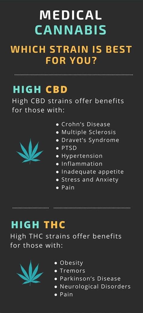 A Guide On Medical Cannabis And The Benefits Of Different Strains R