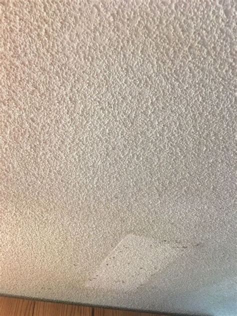If you own a home with popcorn ceilings, you've probably spent some time fantasizing about having them disappear. How do you get rid of "popcorn" ceiling? | Hometalk