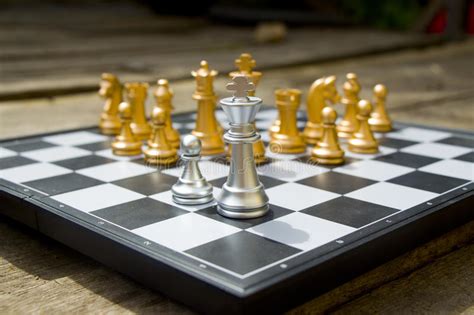 Chess King Stock Photo Image Of Conflict Success People 67507158