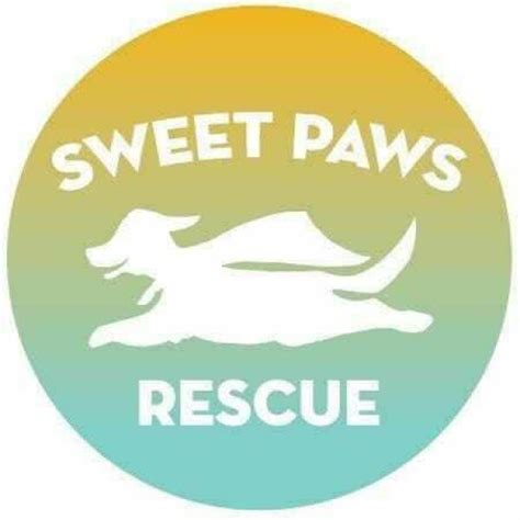 Animals For Adoption At Sweet Paws Rescue In Groveland Massachusetts