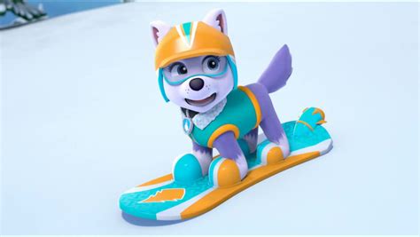 Paw Patrol The New Pup Everest
