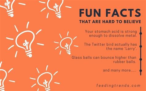 50 Fun Facts That Are Hard To Believe