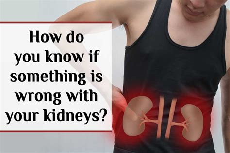 How To Tell If Your Kidneys Hurt