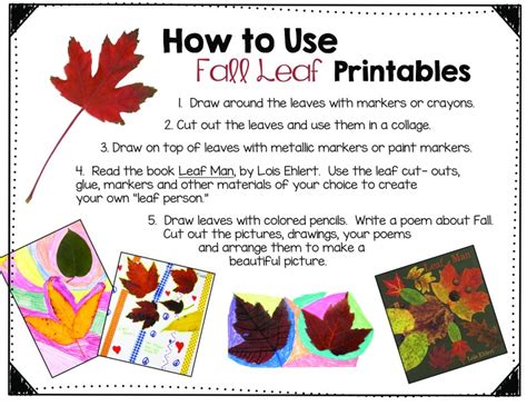 Free Fall Leaf Printables Art Is Basic An Elementary Art Blog