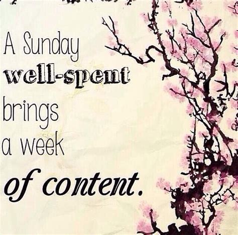 A Sunday Well Spent Brings A Week Of Content Yes Sunday Quotes Funny