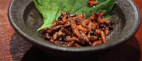 Hachinoko Você Teria Coragem De Comer Larvas E Vespas