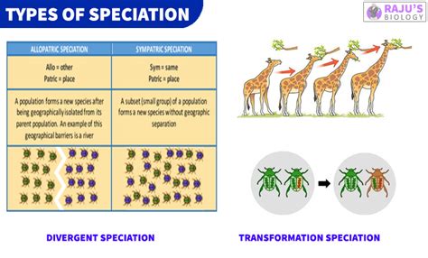 Speciation And Its Types Evolution Class 12 Notes Rajus Biology