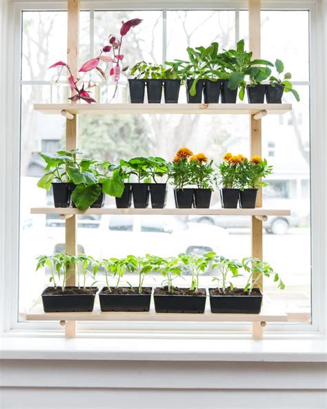 Diy Seed Starting Rack For Small Space Gardening Shifting Roots