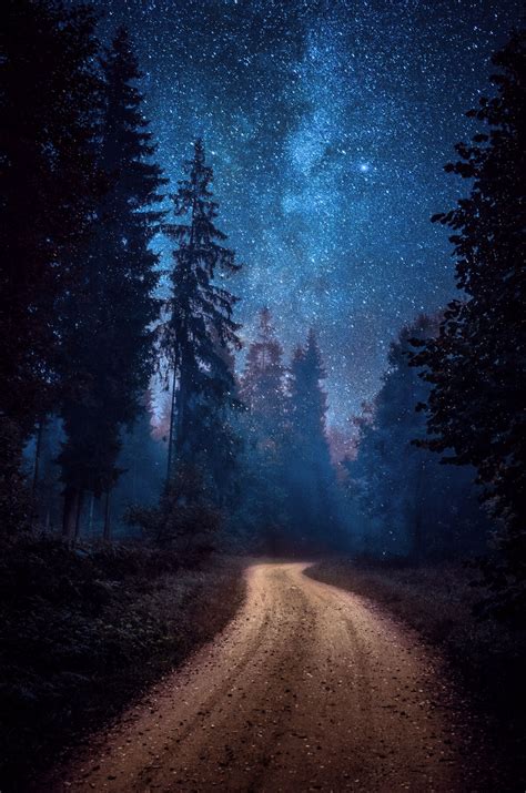 ~~winding Road Milky Way Astrophotography Forest