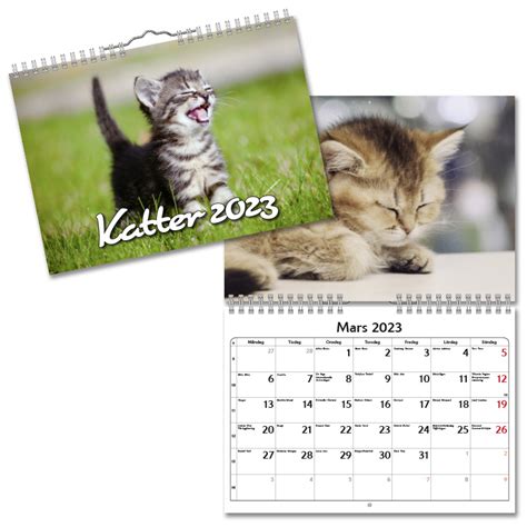 Väggkalender Katter Small 2023 Köp Almanacka Online Specialbutik