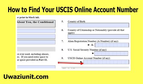 How To Find Your Uscis Online Account Number March 24