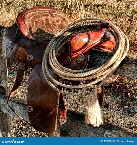 American West Legend Rodeo Western Lasso On Saddle Stock Photo Image