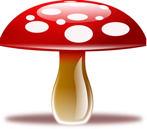 Mushroom Png All Png All