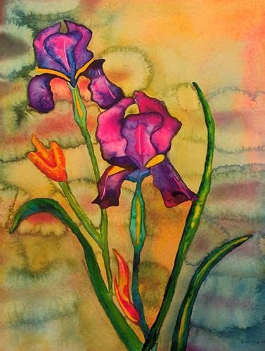 Daily Paintworks Purple Irises Original Fine Art For Sale