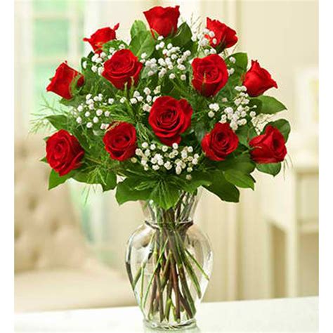 Rose Elegance Premium Long Stem Red Roses Flower Essence The