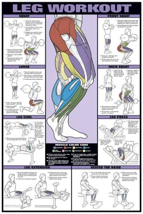 Total Leg Workout With Muscle Mapping Color Coded To See What Muscles