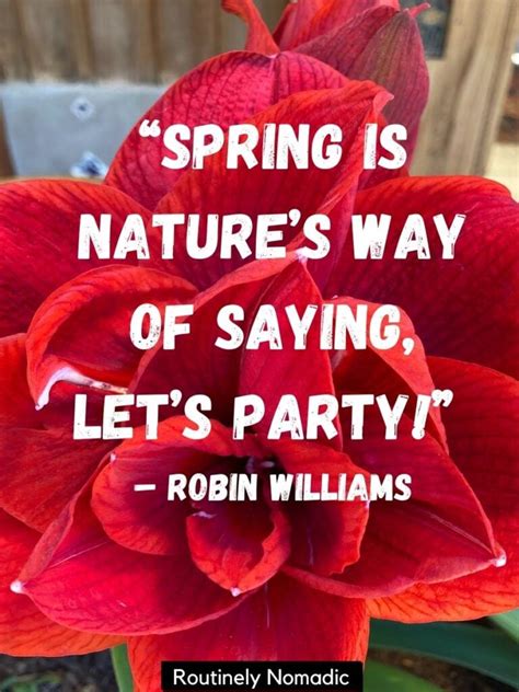 115 Funny Quotes About Spring Routinely Nomadic
