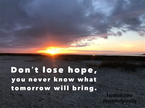 Hope Quote Positive Future Hope Quotes Dont Lose Hope Positivity