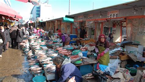 Filekorea Busan Jagalchi Fish Market 02 Wikimedia Commons