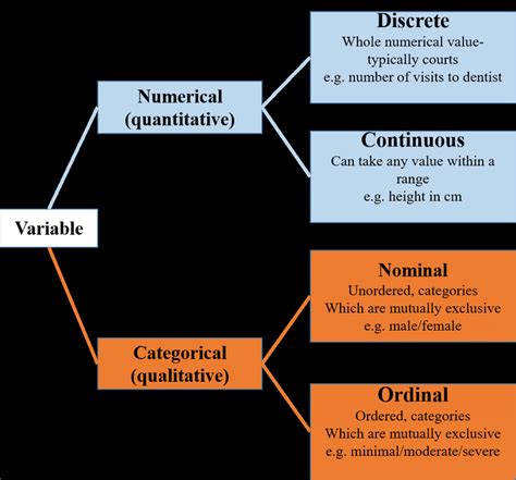 Variables Quantitative Numerical Vs Qualitative Categorical Download Scientific Diagram
