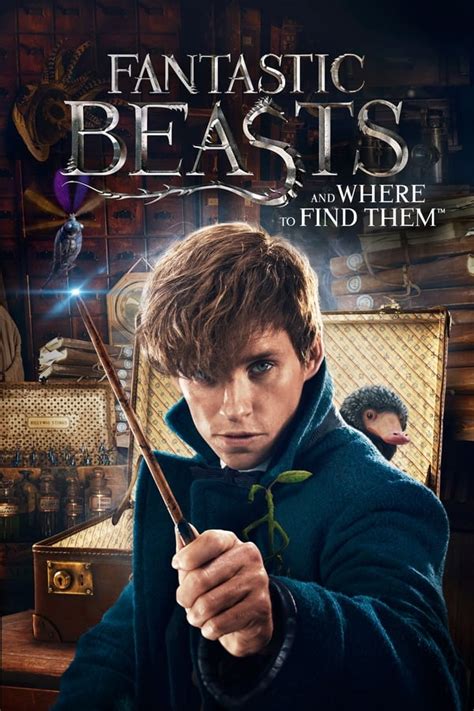 Fantastic Beasts And Where To Find Them Film 2