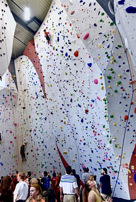 Climbing 101 Learning To Climb Indoors Welcome To The Vertical Extreme