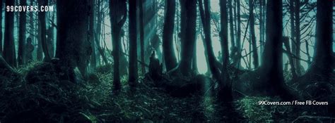 Creepy Forest At Night Facebook Cover Photos