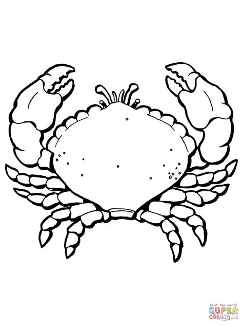 Moana Coloring Pages Crab Coloring Page Blog