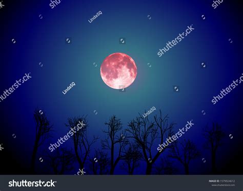 Vector Landscape Red Moon Dark Night Stock Vector Royalty Free