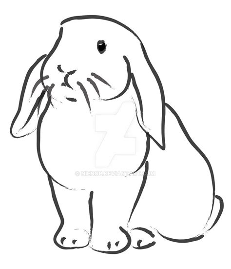 Cute Lop Bunny By Nienor On Deviantart