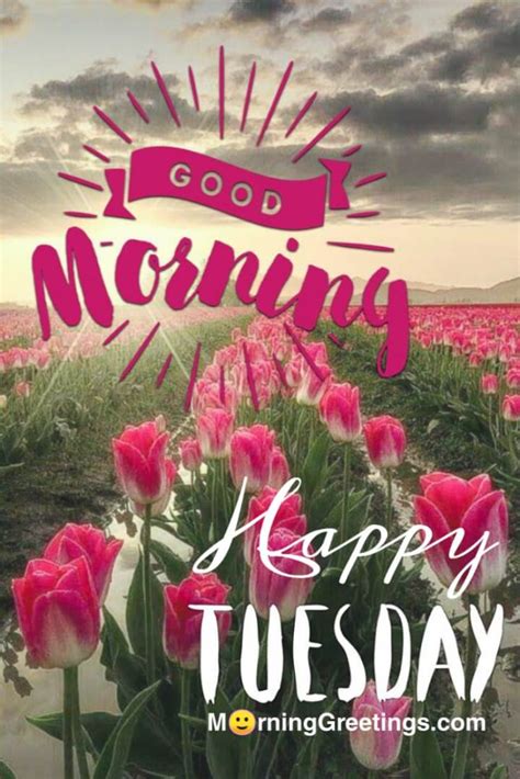 15 Most Tremendous Tuesday Wishes Morning Greetings Morning Quotes