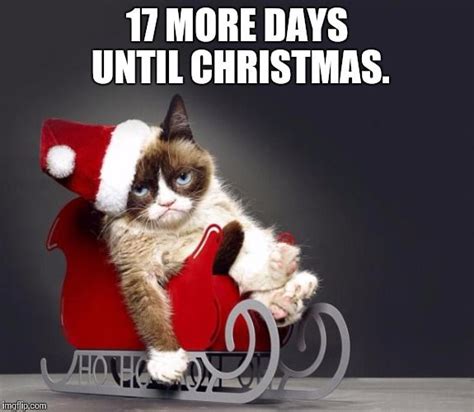 Image Result For 17 Days Till Christmas Holiday Meme Holiday Fun