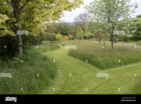 Mowed Paths Through A Garden With Grass And Trees With Long Grass
