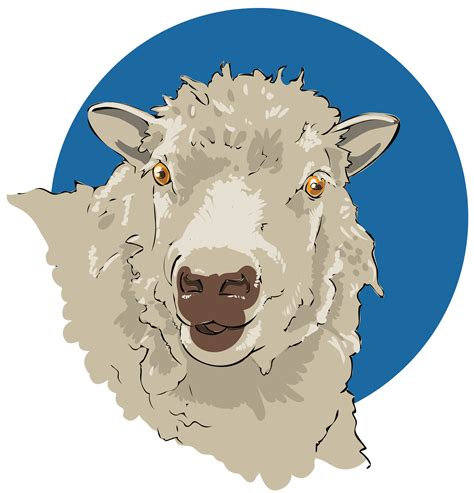 Sheep Heads Clip Art Library