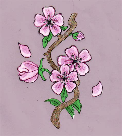 Álbumes 94 Imagen How To Draw A Sakura Tree Actualizar