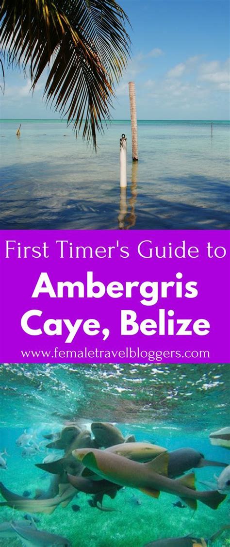 If Youre Planning A Trip To Belize You Have To Check Out Ambergris